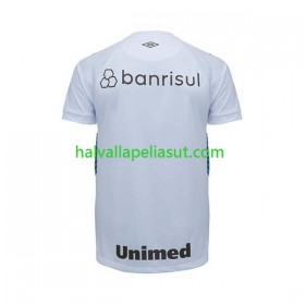 Jalkapallo Pelipaidat/Peliasut GREMIO Vieraspaita 2023-2024 Lyhythihainen